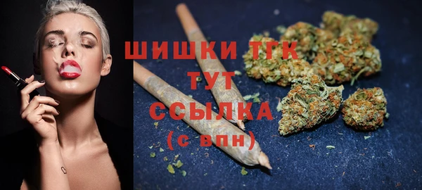 прущие грибы Балахна